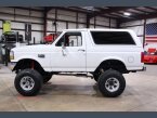 Thumbnail Photo undefined for 1992 Ford Bronco